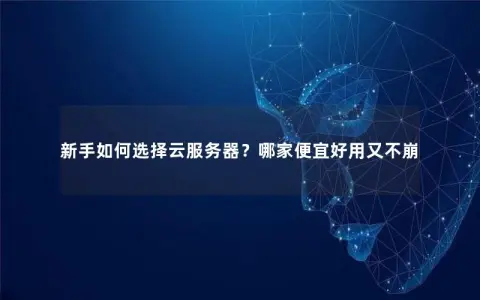 新手如何选择云服务器？哪家便宜好用又不崩