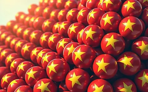 越南服务器租用全攻略与价格解析
