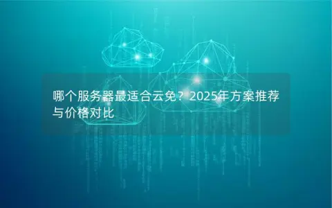 哪个服务器最适合云免？2025年方案推荐与价格对比