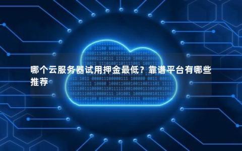 哪个云服务器试用押金最低？靠谱平台有哪些推荐