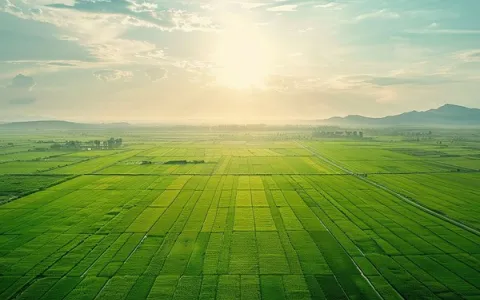 农化网站建设怎么选型需要考虑哪些关键因素