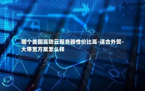 哪个美国高防云服务器性价比高-适合外贸-大带宽方案怎么样