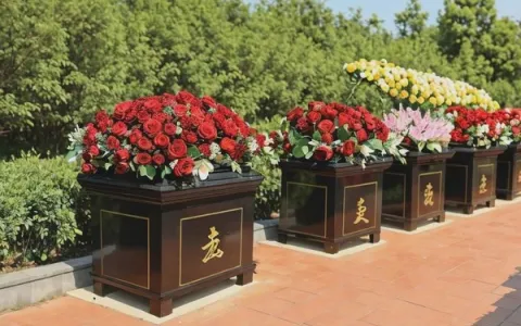 如何选择合适的殡葬一条龙服务流程及价格参考