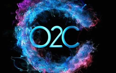 怎么选择最适合企业网站的cc域名注册商