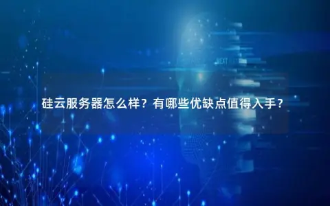 硅云服务器怎么样？有哪些优缺点值得入手？