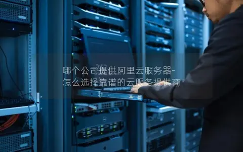 哪个公司提供阿里云服务器-怎么选择靠谱的云服务提供商