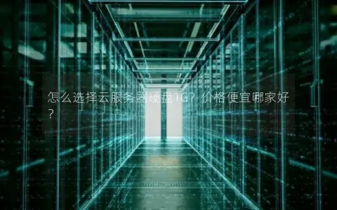 怎么选择云服务器硬盘1G？价格便宜哪家好？