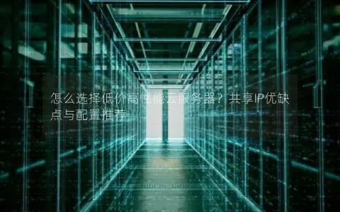 怎么选择低价高性能云服务器？共享IP优缺点与配置推荐