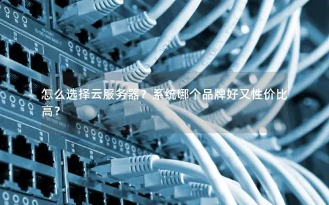 怎么选择云服务器?系统哪个品牌好又性价比高? 怎么选择云服务器?系统哪个品牌好又性价比高?