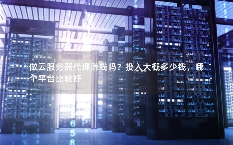 做云服务器代理赚钱吗?投入大概多少钱,哪个平台比较好 做云服务器代理赚钱吗?投入大概多少钱,哪个平台比较好