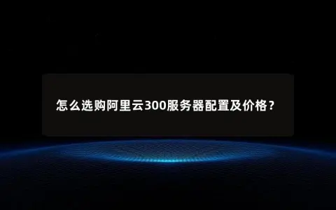 怎么选购阿里云300服务器配置及价格？