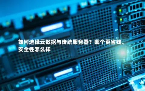 如何选择云数据与传统服务器？哪个更省钱、安全性怎么样