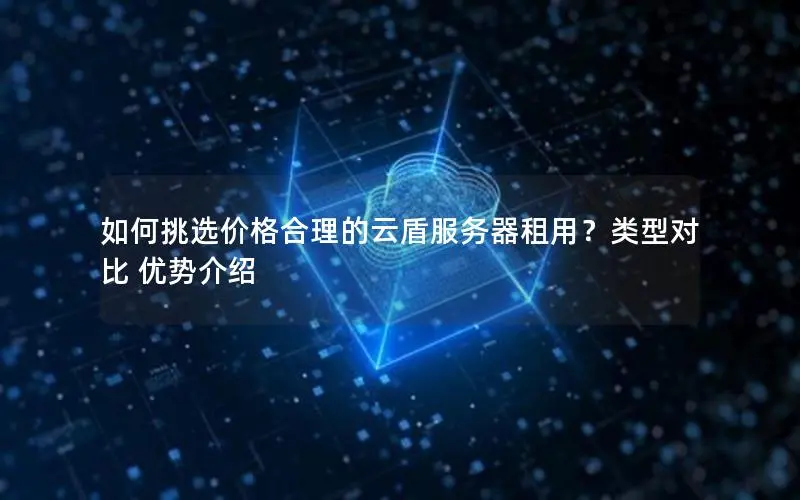 如何挑选价格合理的云盾服务器租用？类型对比 优势介绍