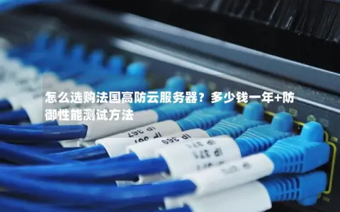 怎么选购法国高防云服务器？多少钱一年+防御性能测试方法