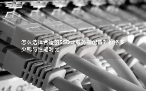 怎么选择合适的SSD云服务器配置？价格多少钱与性能对比