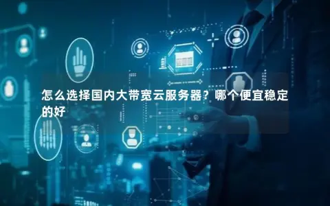 怎么选择国内大带宽云服务器？哪个便宜稳定的好