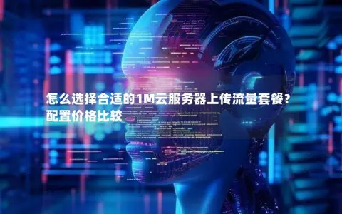 怎么选择合适的1M云服务器上传流量套餐？配置价格比较