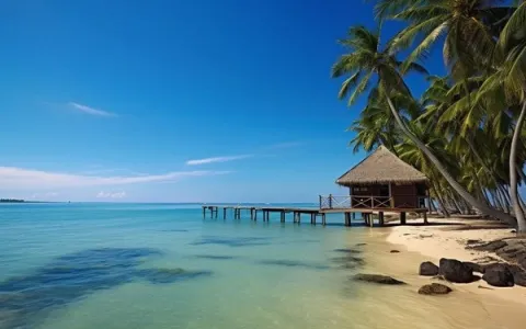在海南建设网站哪里找靠谱服务？