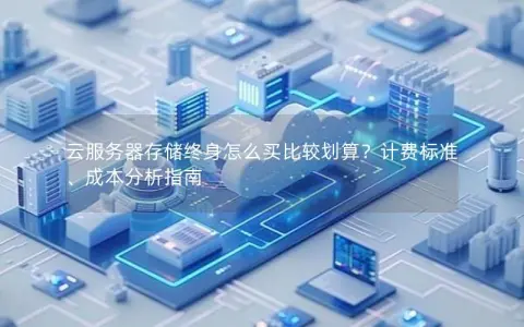 云服务器存储终身怎么买比较划算？计费标准、成本分析指南