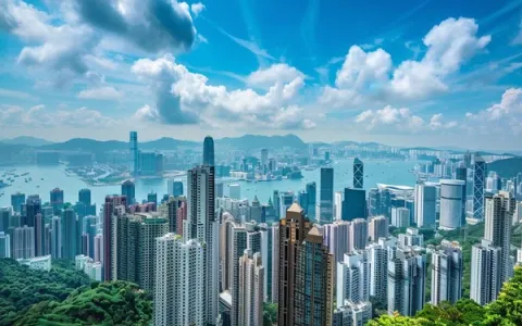 香港IP怎么选？哪家服务商性价比最高