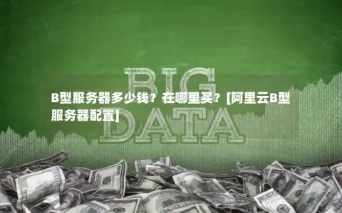 B型服务器多少钱？在哪里买？[阿里云B型服务器配置]