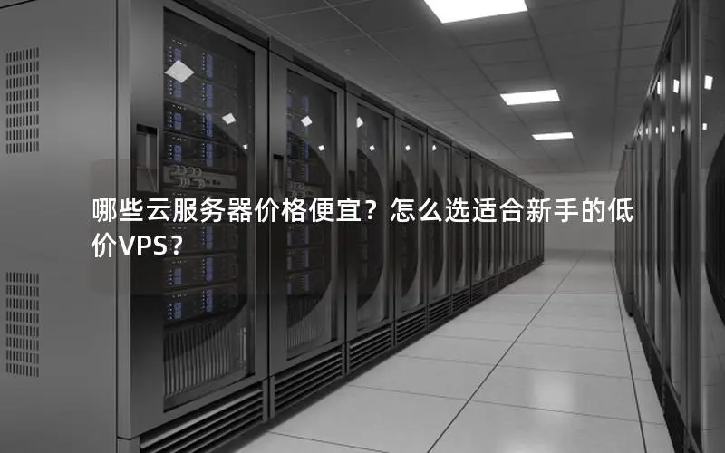哪些云服务器价格便宜?怎么选适合新手的低价VPS? 哪些云服务器价格便宜?怎么选适合新手的低价VPS?