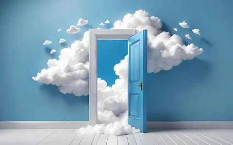 云主机管理的入口在哪里？ 用哪个平台最方便？