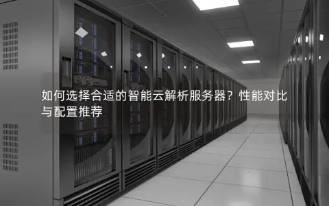如何选择合适的智能云解析服务器？性能对比与配置推荐