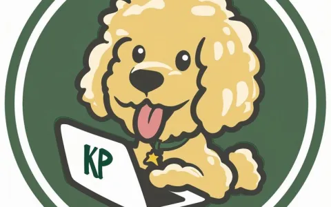 怎么申请双IP证书最便宜又靠谱？流程费用全解析