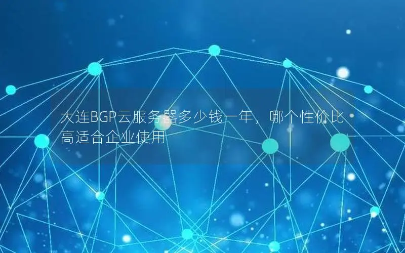大连BGP云服务器多少钱一年，哪个性价比高适合企业使用