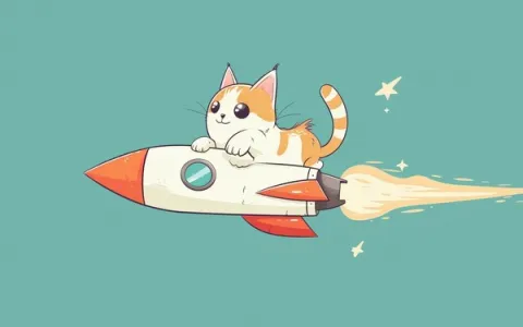 中山网站建设工具猫怎么选择？哪里找靠谱服务商和价格参考