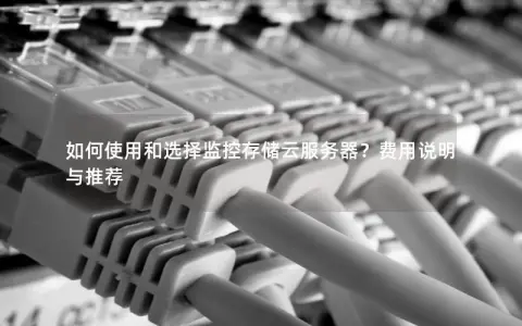 如何使用和选择监控存储云服务器？费用说明与推荐