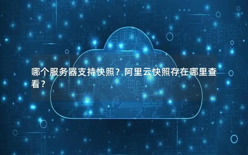 哪个服务器支持快照？阿里云快照存在哪里查看？