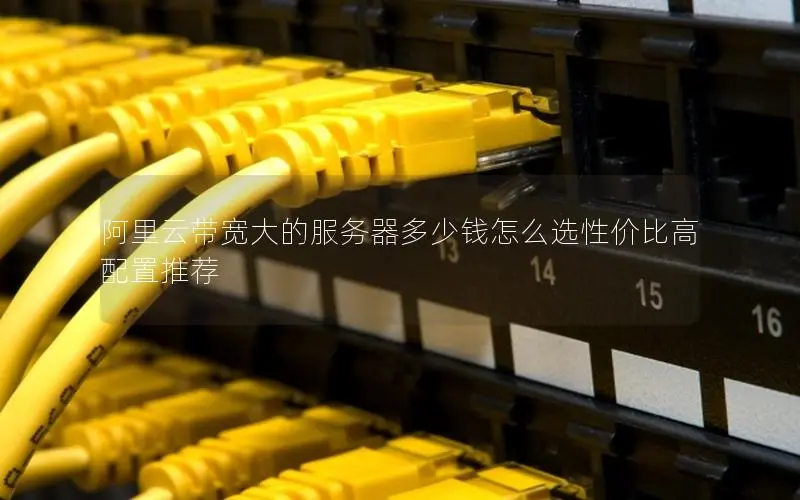 阿里云带宽大的服务器多少钱怎么选性价比高配置推荐 阿里云带宽大的服务器多少钱怎么选性价比高配置推荐