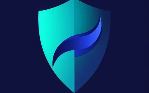 如何选择可靠的国外VPN租用平台？能翻墙的便宜吗