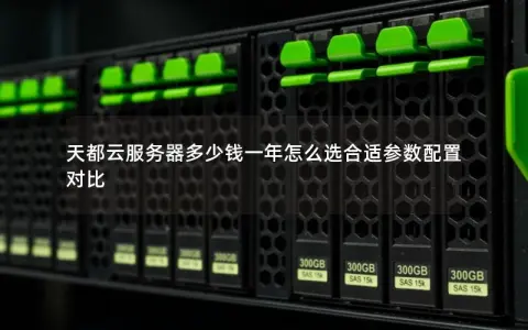 天都云服务器多少钱一年怎么选合适参数配置对比