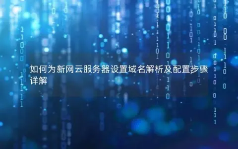 如何为新网云服务器设置域名解析及配置步骤详解
