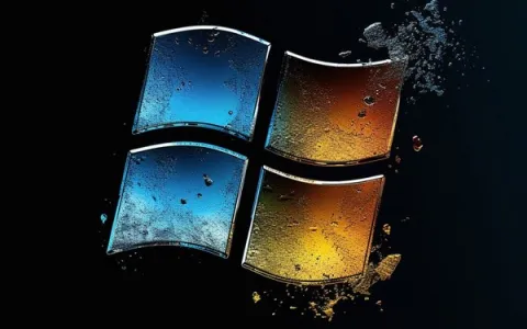 使用Window2008怎么建网站最省钱高效？