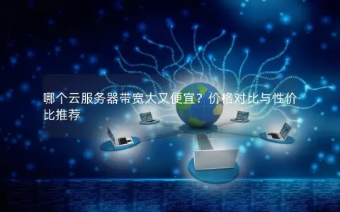 哪个云服务器带宽大又便宜？价格对比与性价比推荐