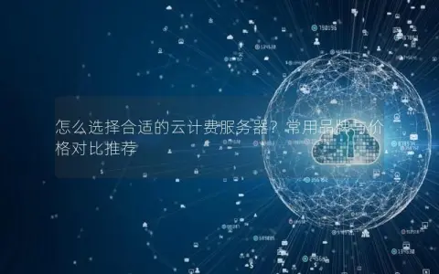 怎么选择合适的云计费服务器？常用品牌与价格对比推荐