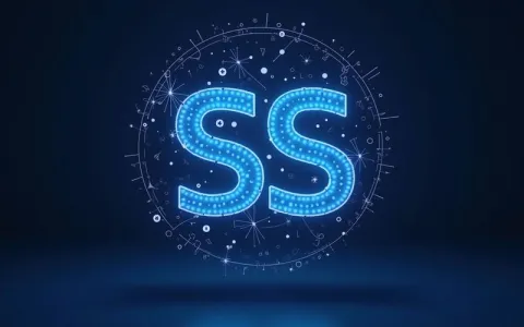 如何选择ss和ssr？比较二者性能差异与适用场景