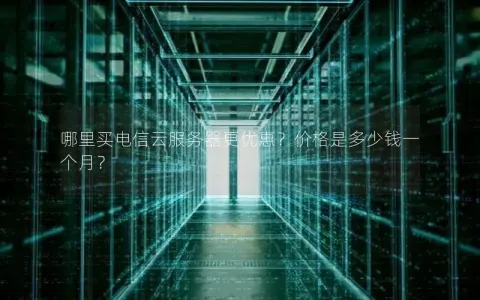 哪里买电信云服务器更优惠？价格是多少钱一个月？