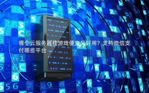 哪个云服务器挂游戏便宜又好用？支持微信支付哪些平台