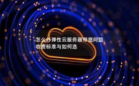 怎么办弹性云服务器带宽问题  收费标准与如何选