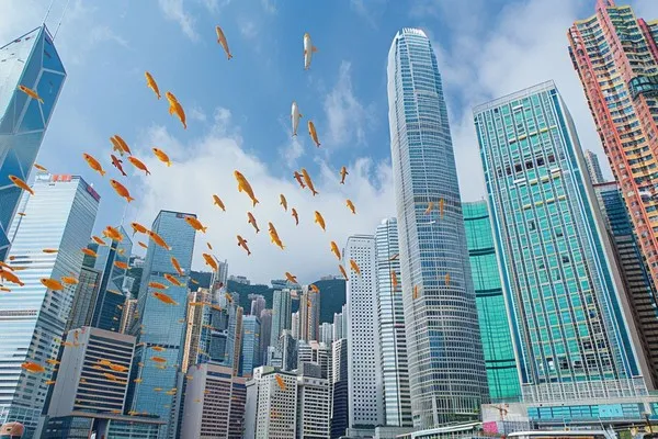 怎么选择阿里云到香港的专线方案及价格,哪里申请和多久交付 怎么选择阿里云到香港的专线方案及价格,哪里申请和多久交付