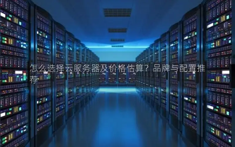 怎么选择云服务器及价格估算?品牌与配置推荐 怎么选择云服务器及价格估算?品牌与配置推荐