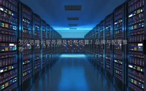 怎么选择云服务器及价格估算？品牌与配置推荐