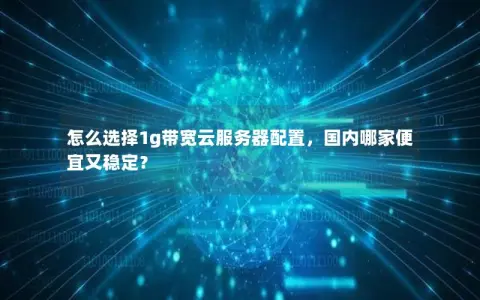 怎么选择1g带宽云服务器配置，国内哪家便宜又稳定？