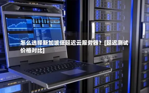 怎么选择新加坡低延迟云服务器？[延迟测试 价格对比]