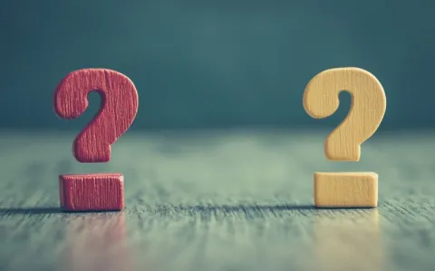 如何选择最合适的论坛建站系统？哪个版本性价比最高？